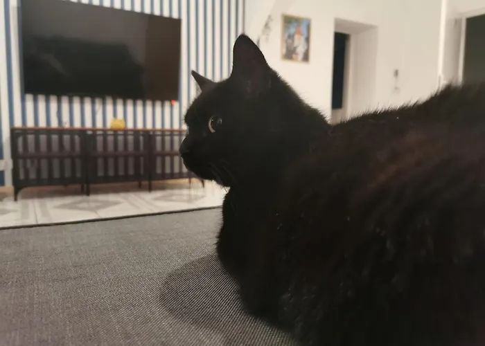 Przy Wiaduktach Apartament